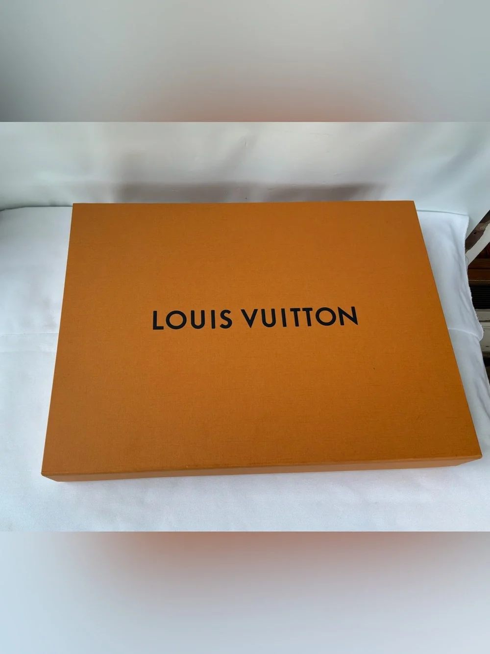 Louis Vuitton image shows